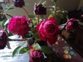 Romantique red English roses for love