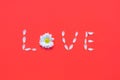 Romatic flower composition. Word LOVE made of white flowers petals on red background