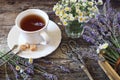 ÃÂromatic lavender tea, fresh lavander and wild chamomile Royalty Free Stock Photo