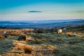 Sheep grazing on Rombalds moor. Yorkhire Royalty Free Stock Photo