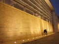 Rome Ara Pacis