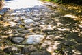 Rome, ancient via appia antica, one of the oldest roads in the world Royalty Free Stock Photo