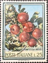Italian postage stamp from the Flora series depicting an apple tree.