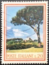 Italian postage stamp from the Flora series depicting Pine on the Palatine Hill.