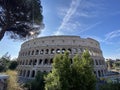 Roma, Colosseo sotto il sole e pino marittimo 3