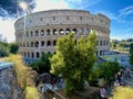 Roma, Colosseo sotto il sole e pino marittimo 2