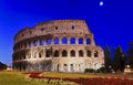 Rome Coliseum Flowers Rise Royalty Free Stock Photo