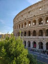 Rome coliseum, Italy - ColisÃÂ©e de Rome, Italie Royalty Free Stock Photo