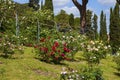 Municipal Roses Garden in Rome