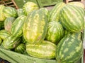 Green water Melons in the street Royalty Free Stock Photo