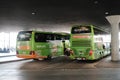 FlixBus buses