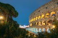 Rome, Italy. Colosseum Also Known As Flavian Amphitheatre In Evening Or Night Time. Royalty Free Stock Photo