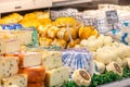 Cheese department. Variety of Italian cheeses. Showcase with different dairy products. Royalty Free Stock Photo