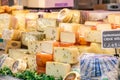 Cheese department. Variety of Italian cheeses. Showcase with different dairy products. Royalty Free Stock Photo