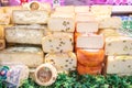 Cheese department. Variety of Italian cheeses. Showcase with different dairy products.