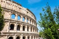 ROME, Italy: Great Roman Colosseum Coliseum, Colosseo also known as the Flavian Amphitheatre, with Green Trees. Famous world lan Royalty Free Stock Photo