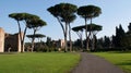 Rome, Italy, January 2007: Caracalla Thermae baths.