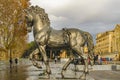 Horse Sculpture at Street