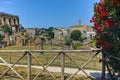 Panoramic view of Ruins of Roman Forum and Capitoline Hill in city of Rome, Italy Royalty Free Stock Photo