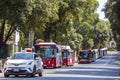 Rome, Italy. June 29, 2022: Row of buses for urban and tourist transport parked in the city center in the tree-lined avenue of