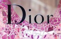 Rome, Italy - May 13, 2018: Dior logo on brand`s store in Rome.