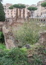 Rome, Italy - 26 Nov, 2022: The Largo Torre Argentina archaeological site and cat park Royalty Free Stock Photo