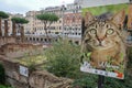 Rome, Italy - 26 Nov, 2022: The Largo Torre Argentina archaeological site and cat park Royalty Free Stock Photo