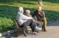 ROME ,ITALY - 20 NOVEMBER 2015 : Conversation. Three old men conversing sitting on a bench in the park sunny day in