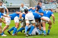 ROME, ITALY - NOVEMBER 18 2006. Rugby test match Italy-Argentina Royalty Free Stock Photo