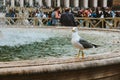 Rome, Italy October 2019: Fountain in Piazza San Pietro in Vatican against The Papal Basilica of Saint Peter, cloudy day Royalty Free Stock Photo