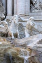 18th century Trevi Fountain, character of triton with a horse, Rome, Italy Royalty Free Stock Photo