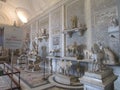 Rome, Italy, Vatican Museum, hall with animal statues.