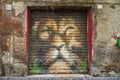 Rome - June 18, 2014 : Old gates painted with predator cat lion