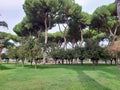 Roma - Giardino degli Aranci Royalty Free Stock Photo