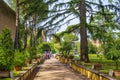 Rome, Vatican City, Italy - Botanical Garden section of the Vatican Gardens in the Vatican City State Royalty Free Stock Photo