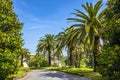 Rome, Vatican City, Italy - Panoramic view of the alleys of the Vatican Gardens in the Vatican City State Royalty Free Stock Photo