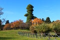 Rome, Villa Doria Pamphili Royalty Free Stock Photo