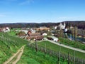 Romisch-katholische Pfarrei Liebfrauen Rheinau or Kloster Rheinau