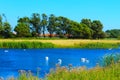 Romney Marsh lake nice summer day view East Sussex