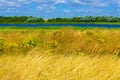 Romney Marsh nice summer day view Kent England