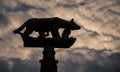 Romulus and Remus symbol Royalty Free Stock Photo
