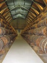 Rum barrels stacked in the old cellar of the distillery. Martinique, French West Indies Royalty Free Stock Photo