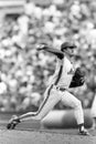 Ron Darling New York Mets Royalty Free Stock Photo