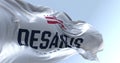 Ron DeSantis 2024 Republican presidential primaries campaign flag waving