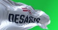 Ron DeSantis 2024 Republican presidential primaries campaign flag waving