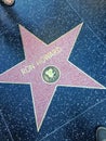 Ron Howard Hollywood walk of fame star.