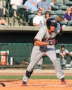 Ronald Guzman, Hickory Crawdads