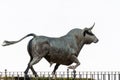 02-09-2023 ronda,malaga, spain bronze statue of a fighting bull in the bullring of ronda