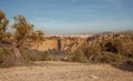 Ronda olive trees and urban landscape Travel Spain