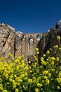 Ronda in spring